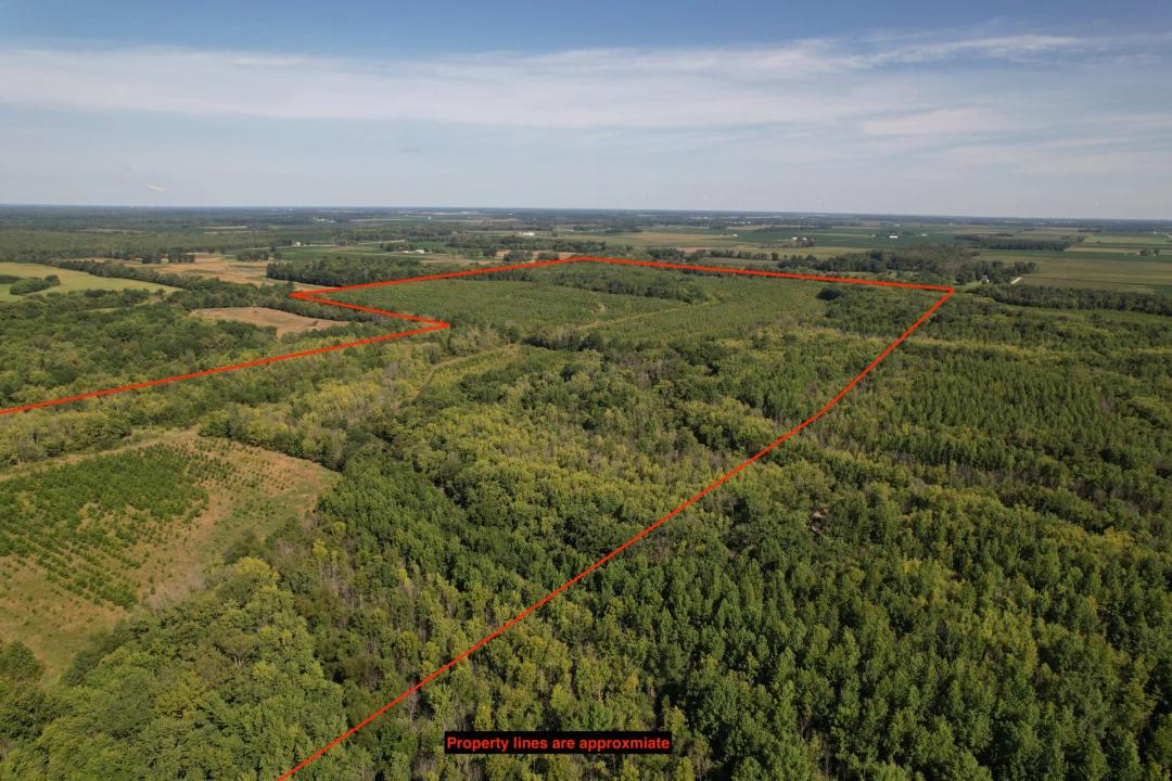 Tract 1 Clay County