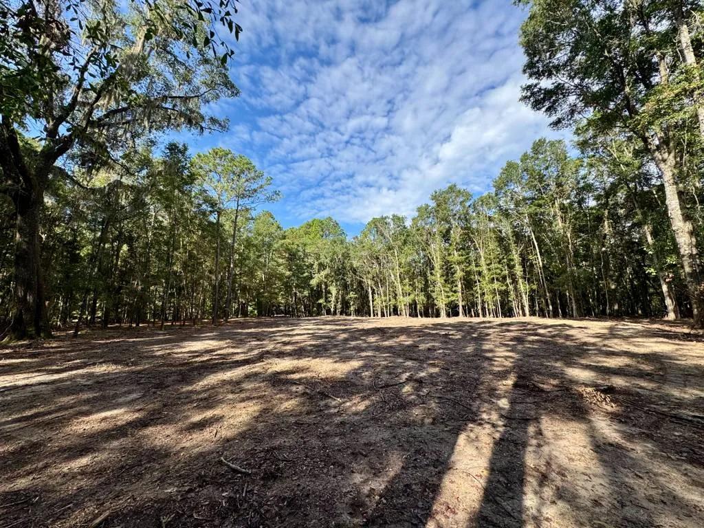 Okatie/Ridgeland/Jasper Co Hunting Timber Residential Multi-Use