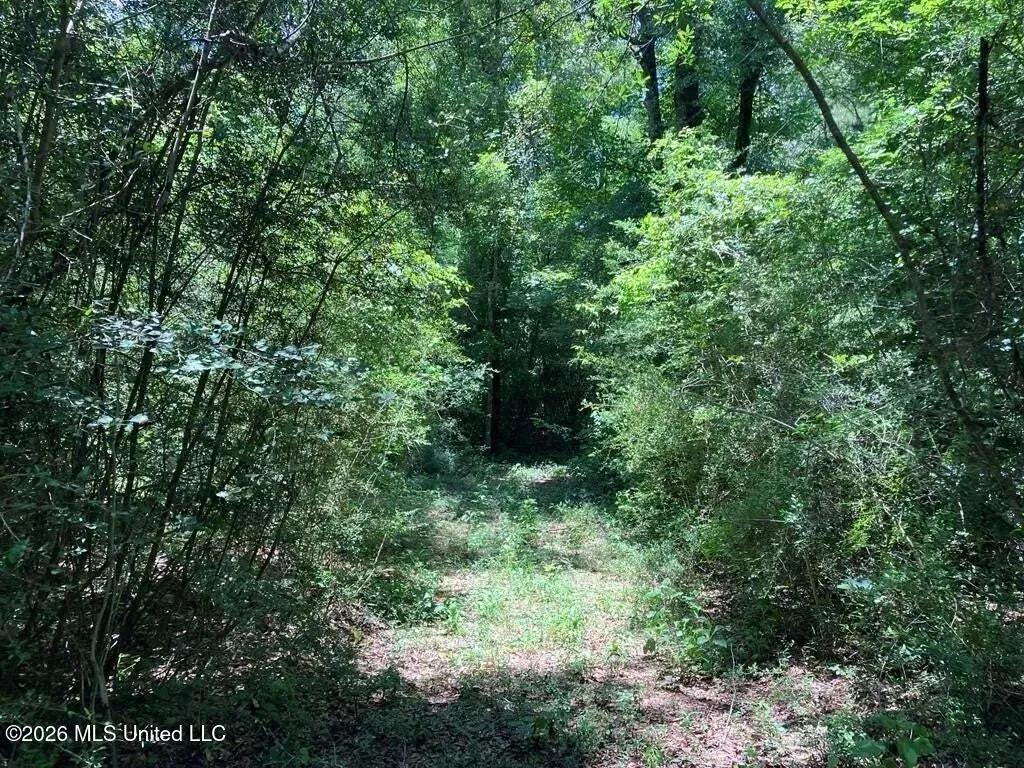 5.68 acres near Tylertown, Mississippi