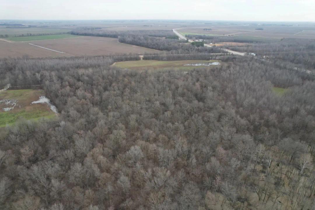 Farm and Recreational Land in Craighead, County, AR