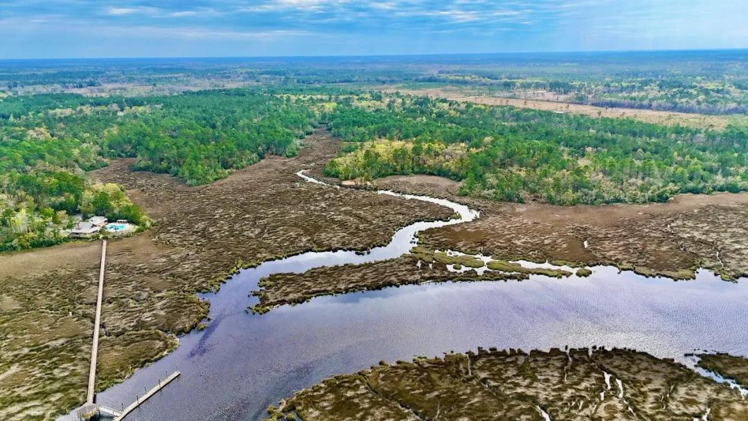 34 Acres on Little Satilla River Estate
