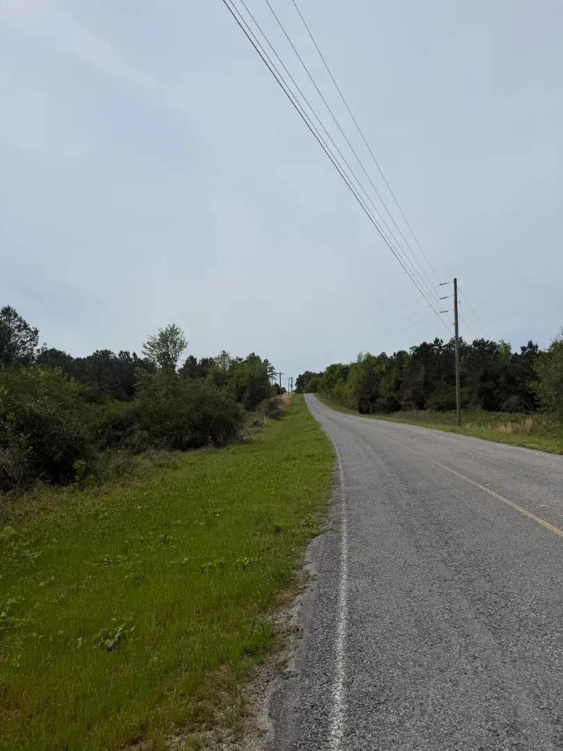 29 Acres in Kemper County, MS 