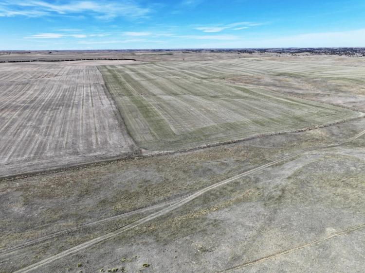 586 Acres, Cheyenne County, Cheyenne County Combo Section Without Homesite