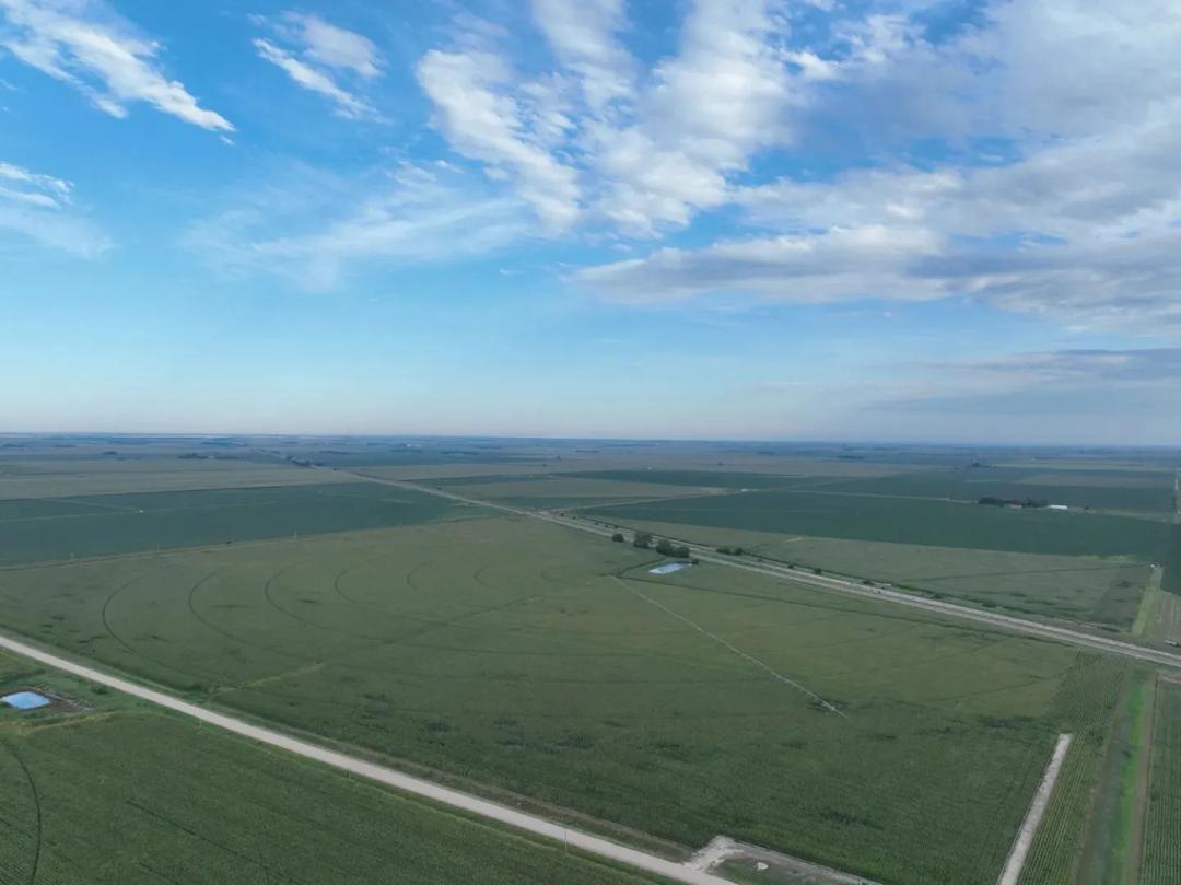 Farm For Sale | 142+/- Acres | Phelps County, NE