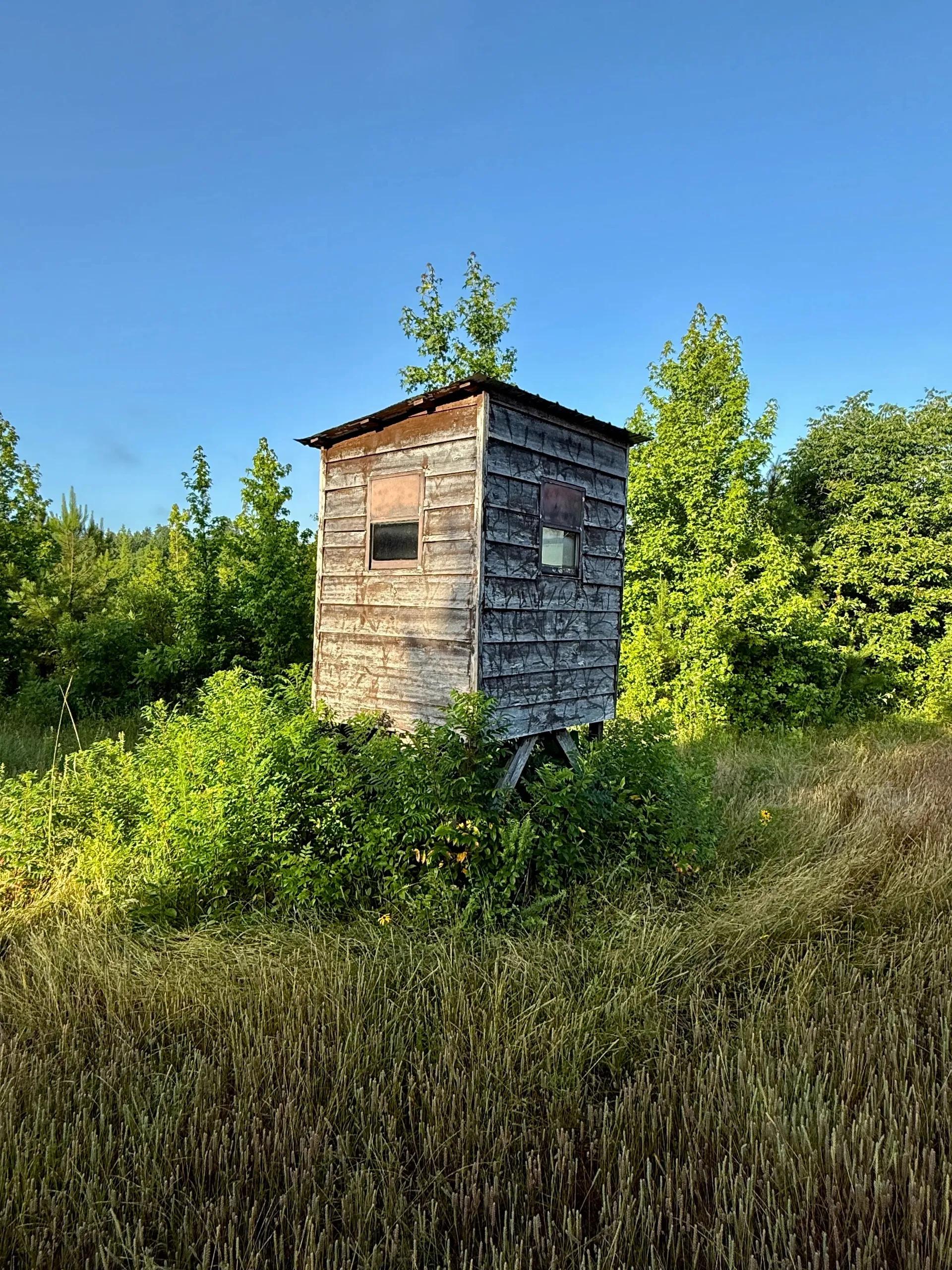 41567219-1