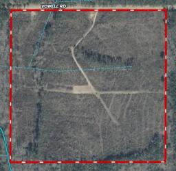 41567219-16