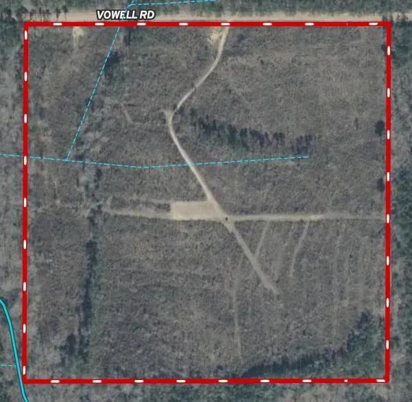 41567219-16