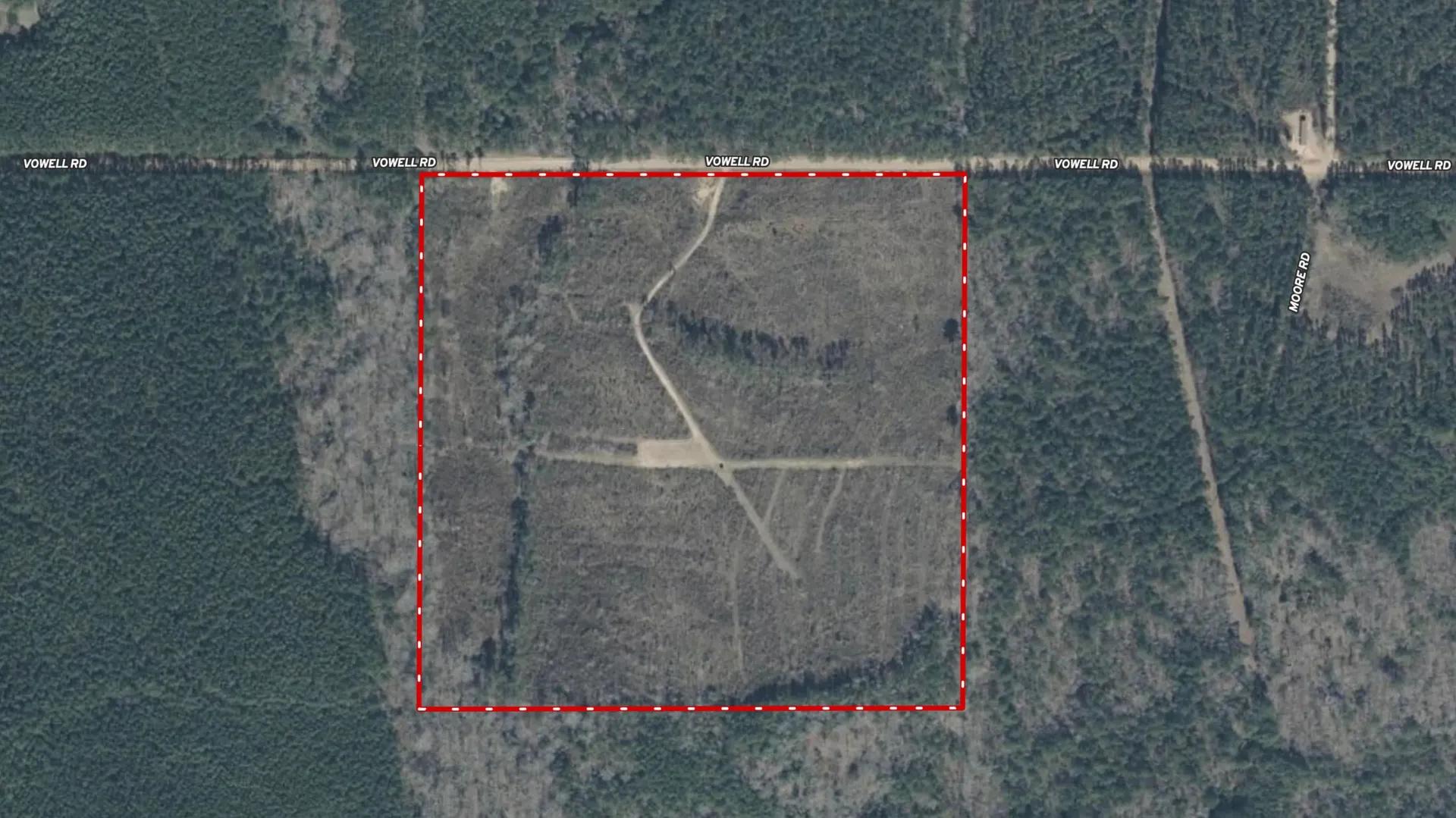 41567219-21