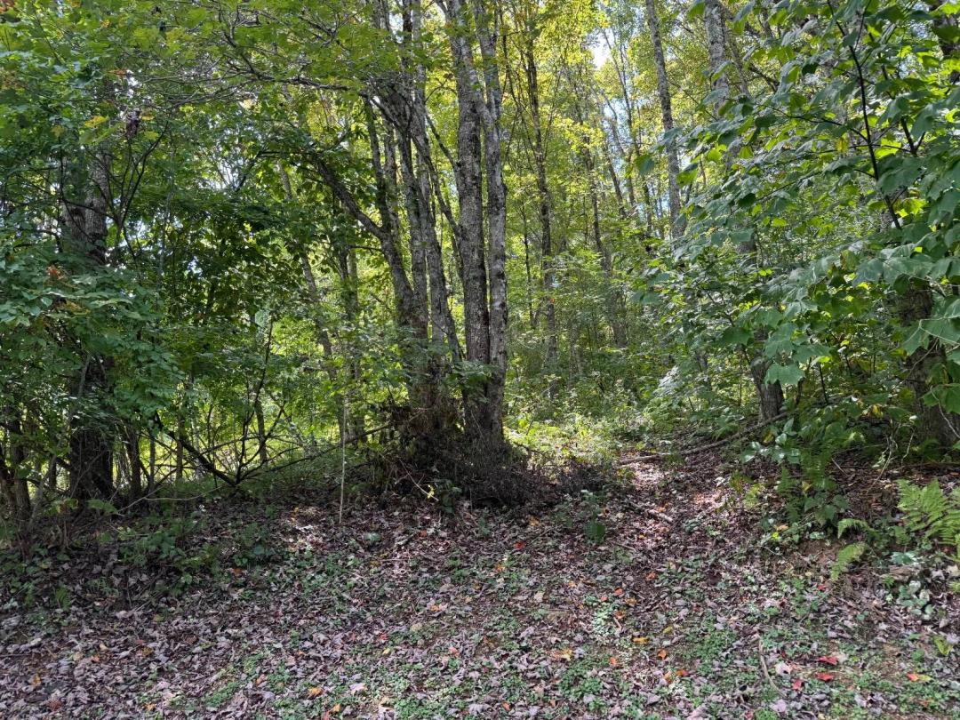 Mountain Glen lot