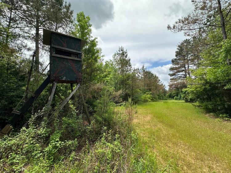 158.00 Acres at 1 Highway 440
