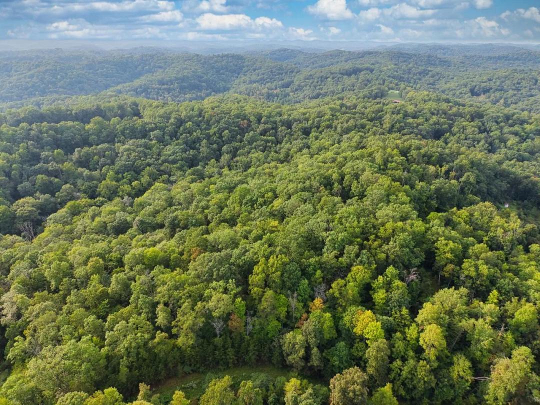 76.51 +/- ACRES | RT 50 OVER 1 AND 2 (YEAGER RUN)