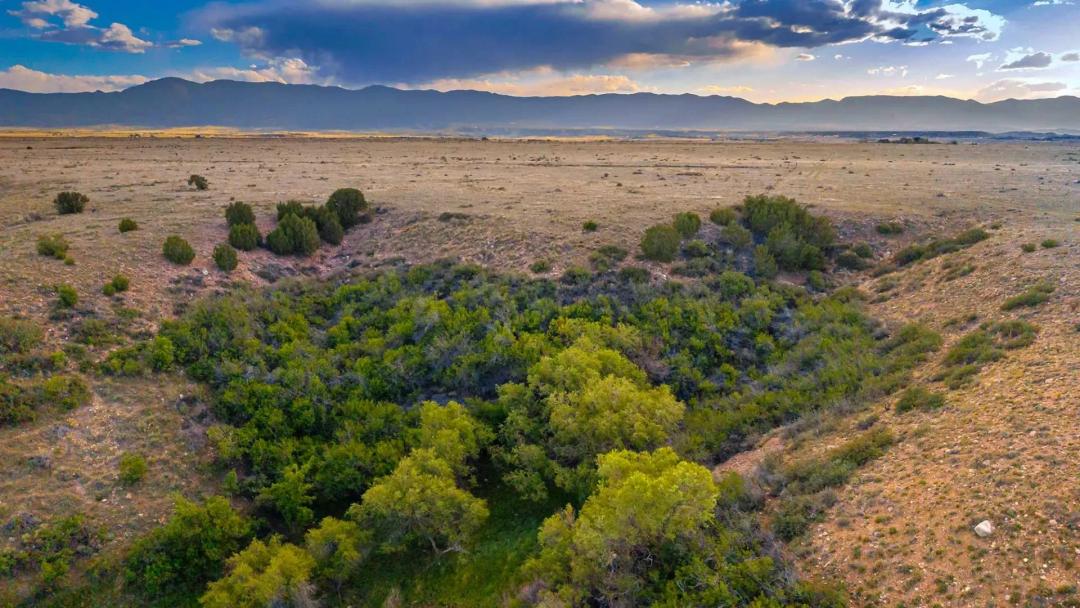 Willow Spring Ranch