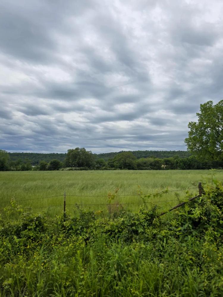 TBD Shaver Road, Paris, AR 72855