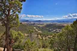 Home Cabin Acreage Borders Public Land For Sale in Colorado 33