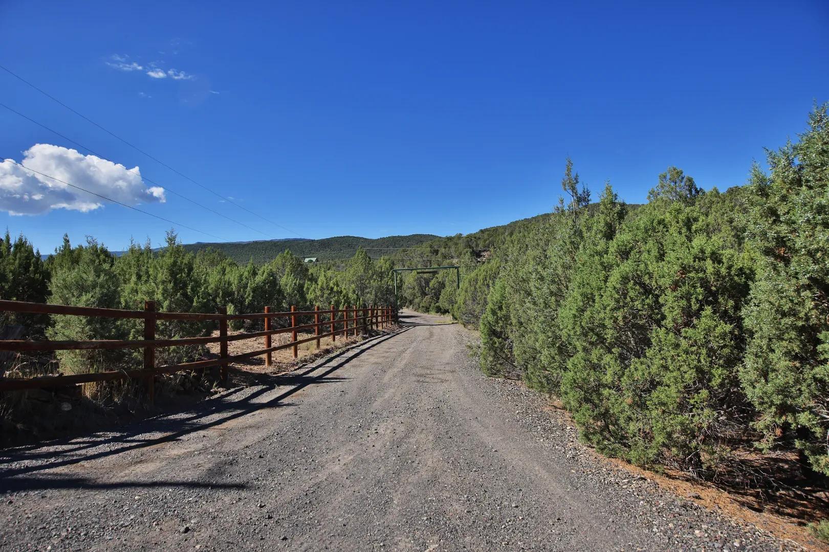 Home Cabin Acreage Borders Public Land For Sale in Colorado 37