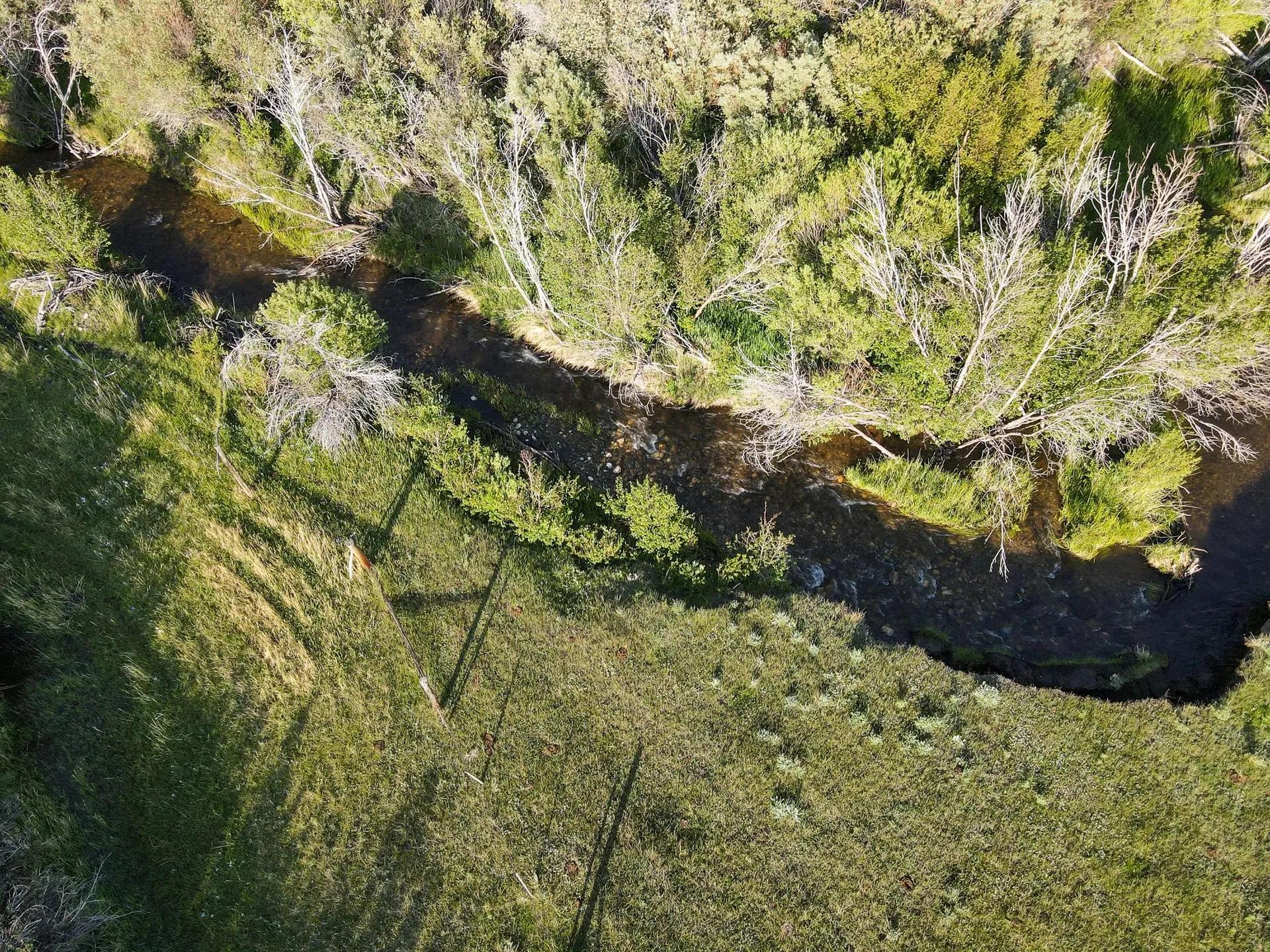 41660889-13