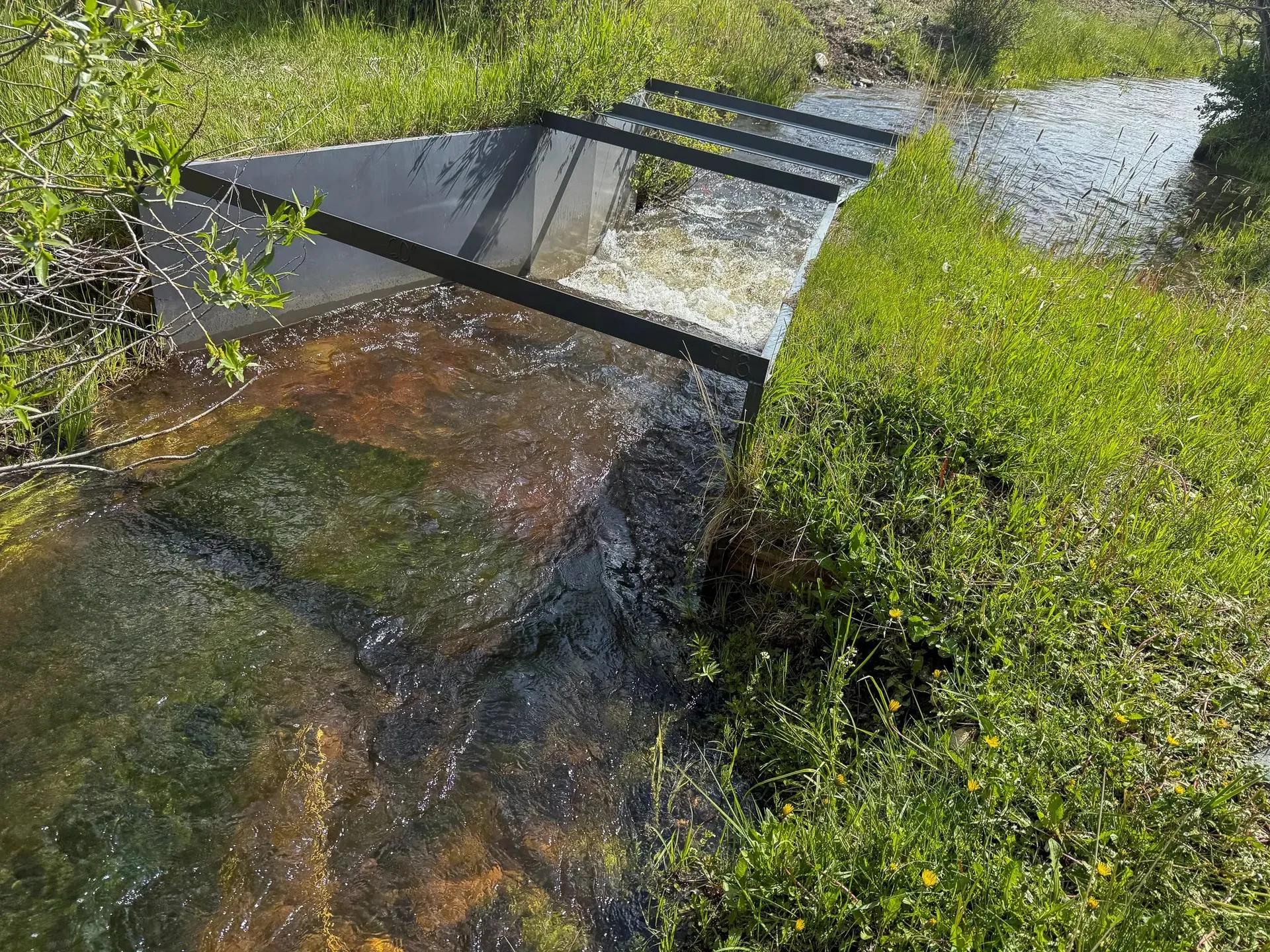41660889-20
