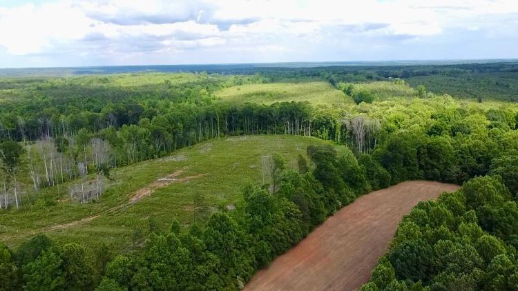 90.00 Acres at 0 Doc Jones Trail