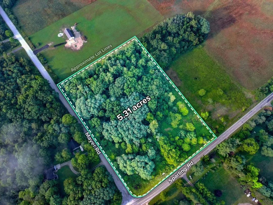 5.31+/- Wooded Vacant Lot St. Clair County MI