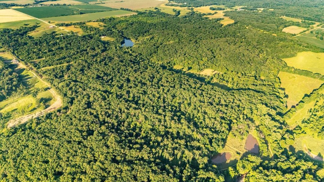 Prime 160±-Acre Hunting Farm with a Cabin & Income Potential – Knox County