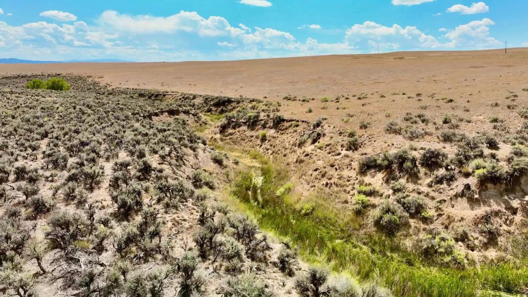 Ida Ranch