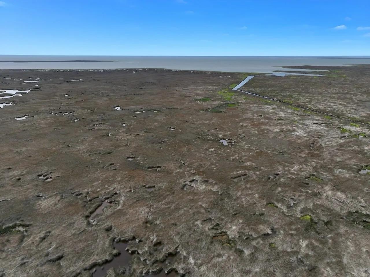 41763820-17