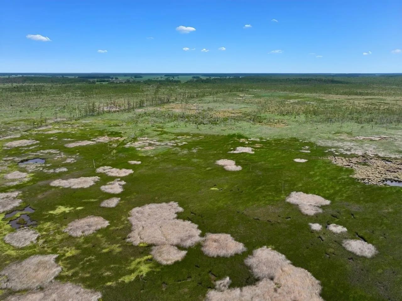 41763820-19