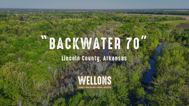 Backwater 70