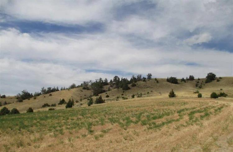 Secluded Mountain View Property