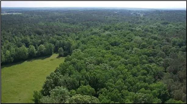 344.3 Acres in Lafayette County in Oxford, MS 