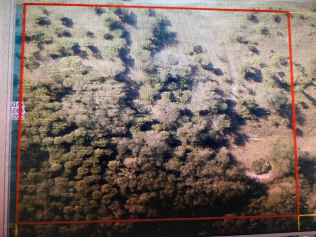 VIKING AREA 2.5 ACRES