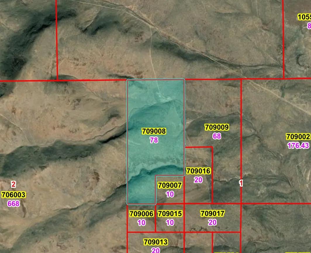 78 acres in the Mountains NW of Crescent Valley - Remote - Peace and Quiet