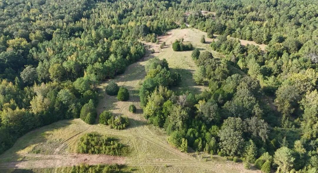 13.5 Acres in Lafayette County, MS 