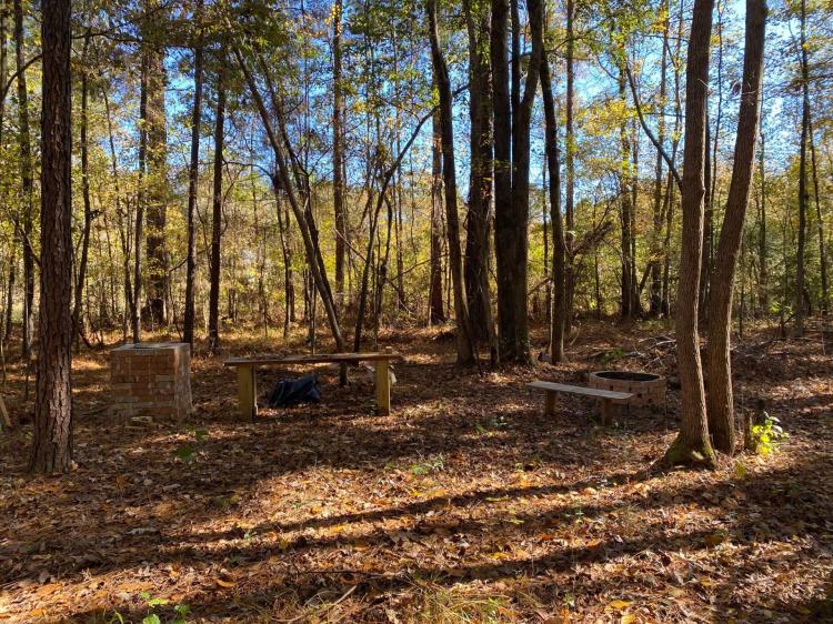 8.09 +/- acres in Madison County located on Allenwood Dr