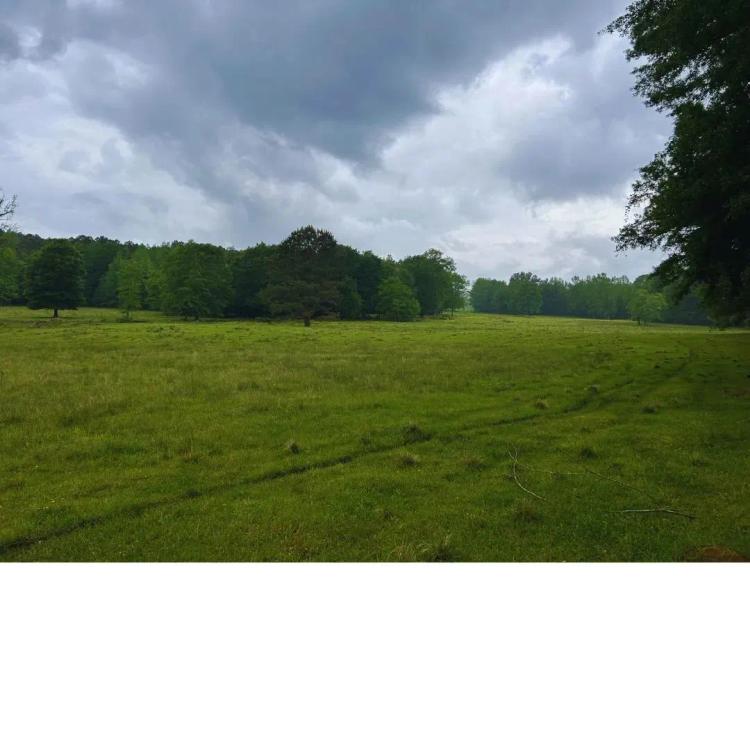 103 Acres in Lauderdale County in Lauderdale, MS