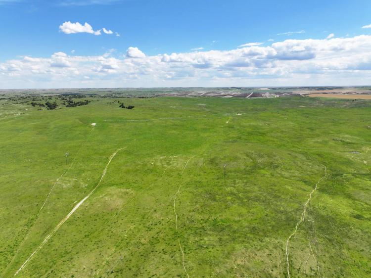 1,003 Acres, Custer County, The Cain Ranch