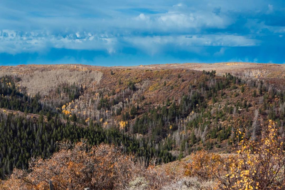 West Ridge Ranch