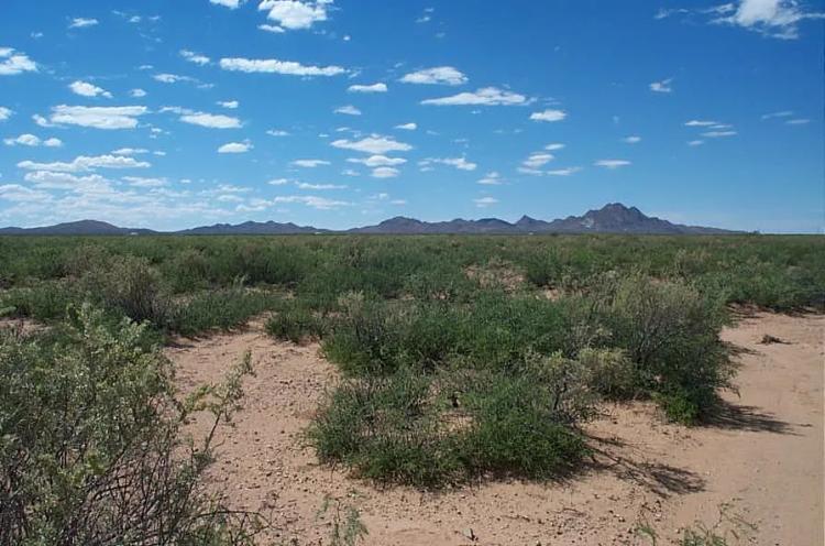 20 acres Southern New Mexico Desert land