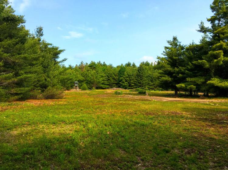 28 acre Creek Front Hunting Land Pitcairn NY