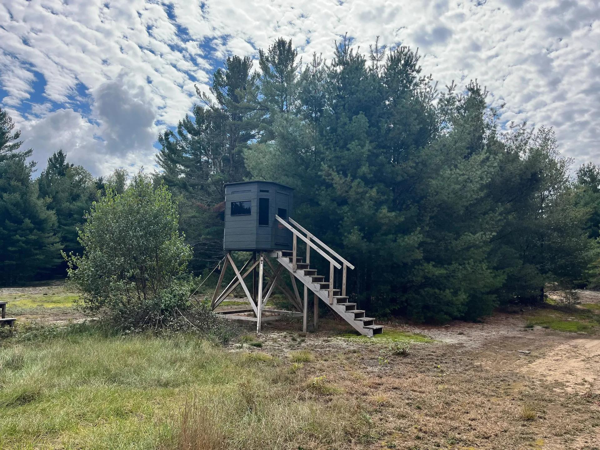 42066811-12