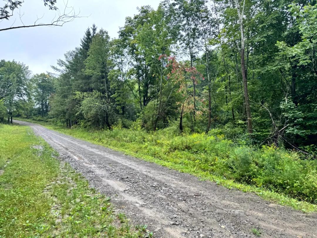 Richford Valley Woodlands