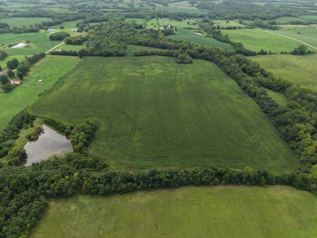 Land for Sale - 32.5 Acres near Denver, MO