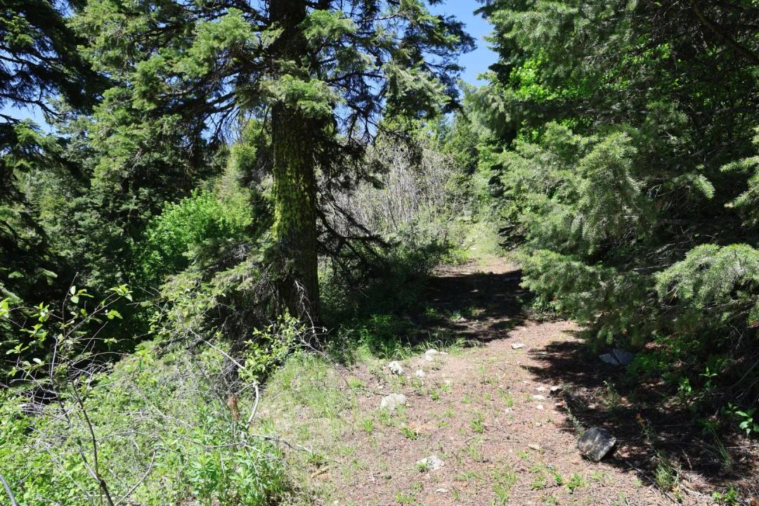 Camp Creek Recreation Land