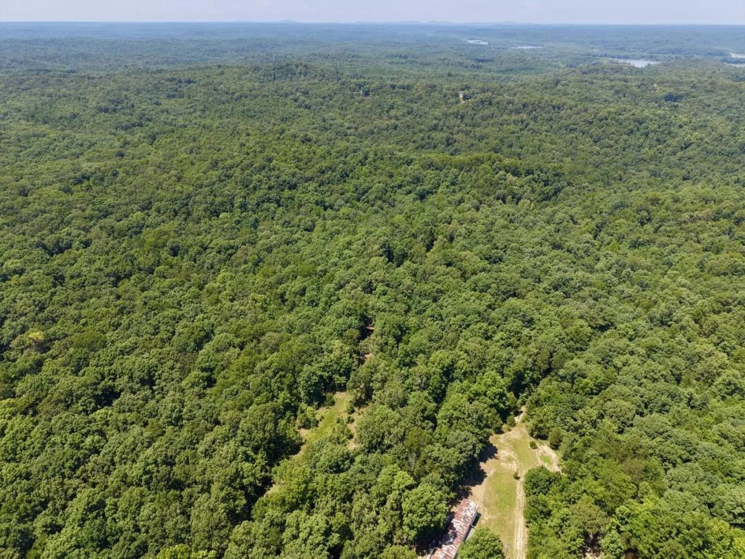 107±AC of Premier Recreational & Hunting Land For Sale in Wayne Co.