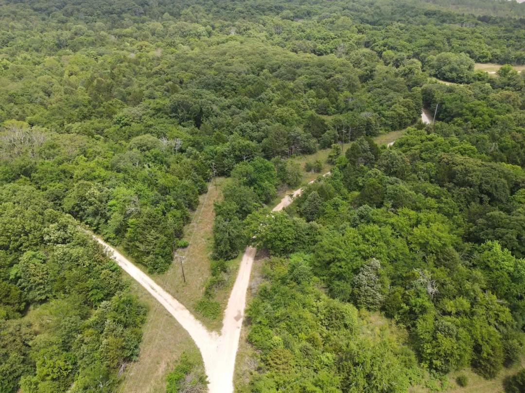 Secluded 80 Acre Hunting Tract