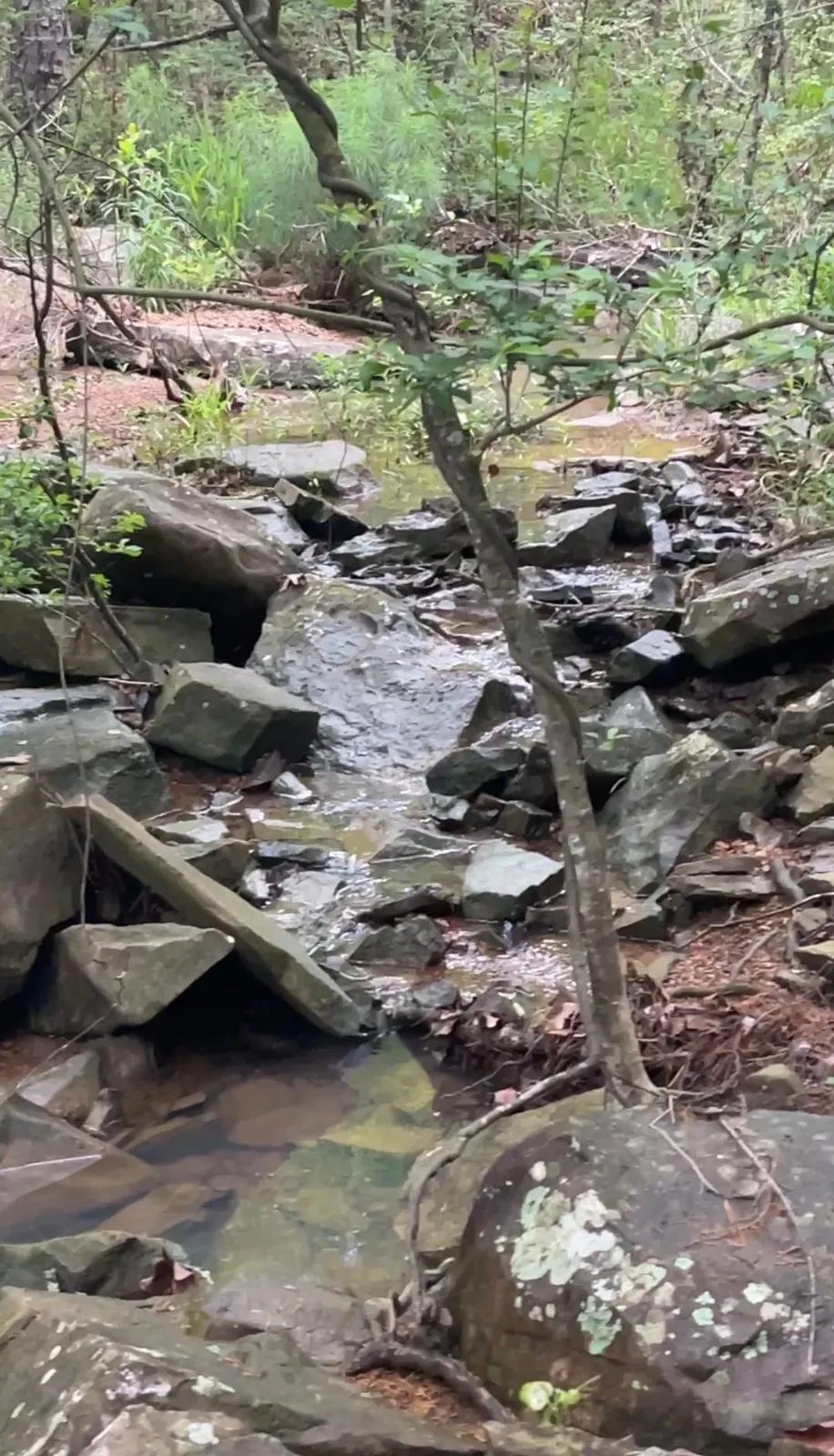 75.00 Acres at 000 Antlers Road