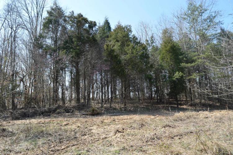 16.54 Acres at 000 Sawmill Rd