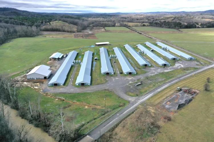 Mountain Valley Broiler Farm – 8-House Poultry Farm in Whitesburg, TN
