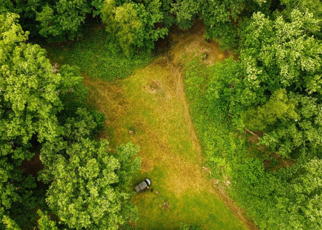 351 Acres in Jefferson County, MS 