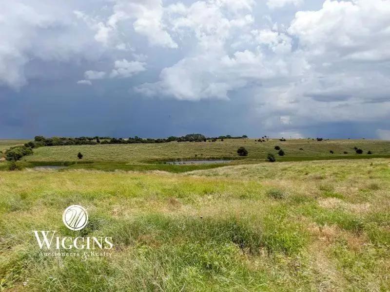 7/10 - 2 Farms Totaling 240 +/- Acres Incl. Home & Acreage (Offering in Tracts)